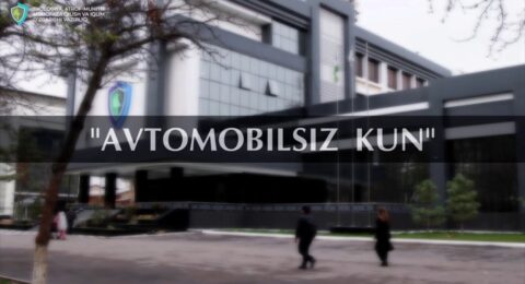 Avtomobilsiz kun