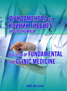 Вестник фундаментальной и клинической медицины 2025, №1 (14)
