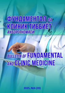 Вестник фундаментальной и клинической медицины 2025, №6 (20)